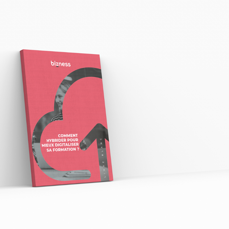 mock up livre blanc