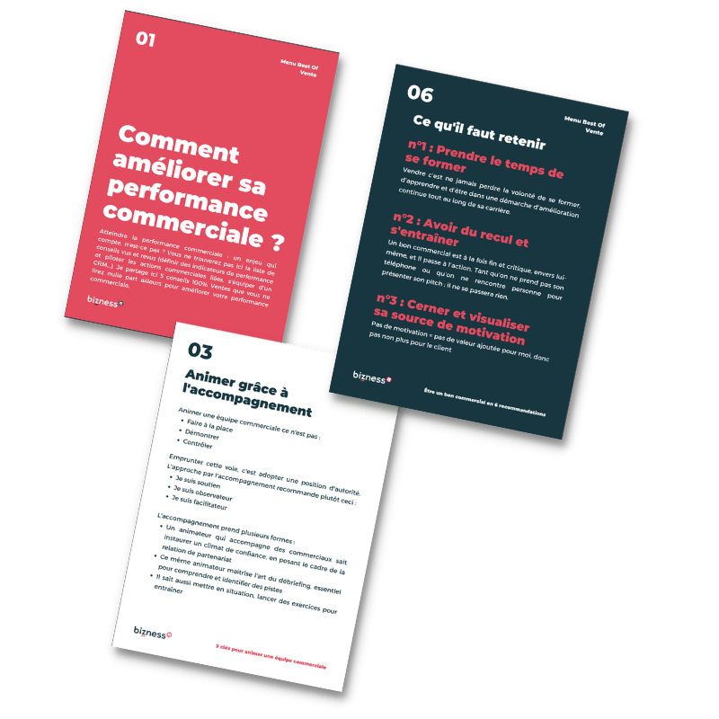 pages intérieures e-book vente bizness